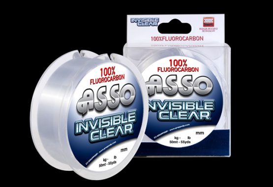 INVISIBLE-CLEAR-SITE_640